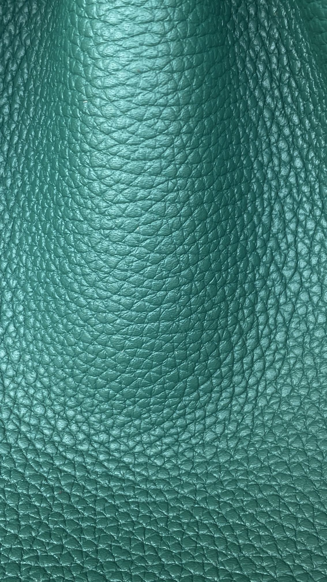 Hermès Birkin 30 Vert Vertigo Togo Leather Gold Hardware (100% Handmade)