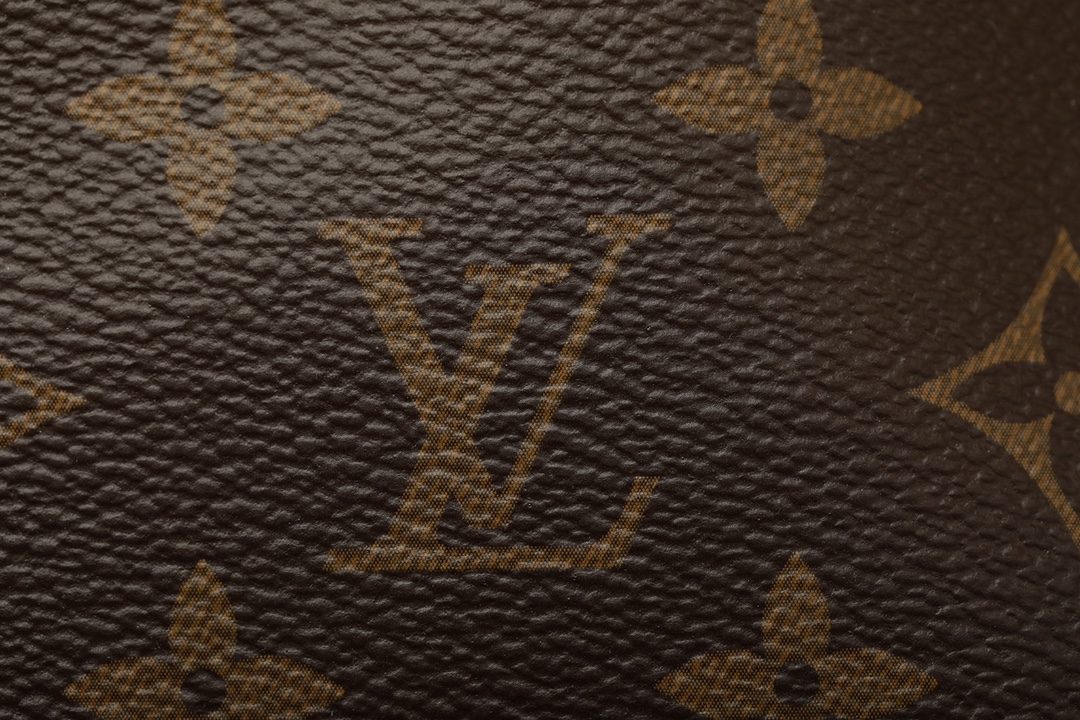 LOUIS VUITTON M46203 CarryAll PM Monogram coated canvas