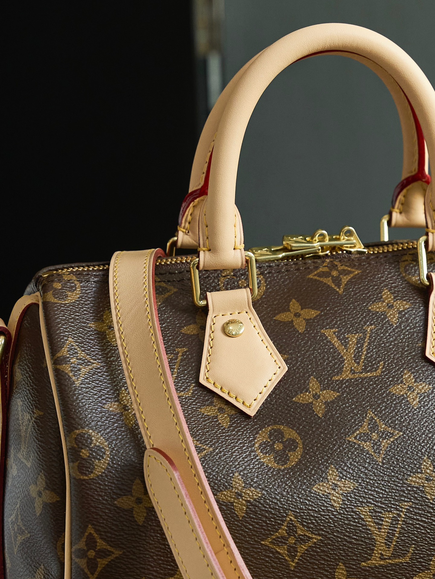 LOUIS VUITTON M1113 Speedy Bandoulière 25 Monogram coated canvas